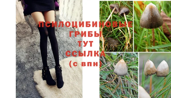 spice Новодвинск