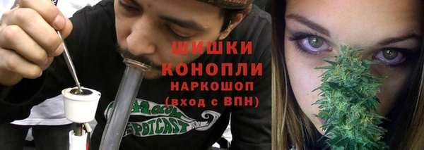 spice Новодвинск