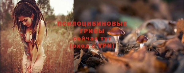 spice Новодвинск
