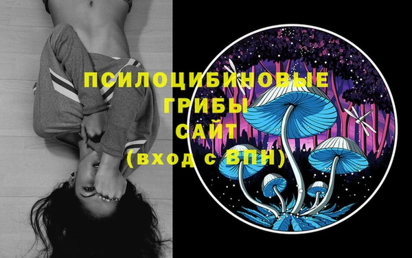 бошки Щучье