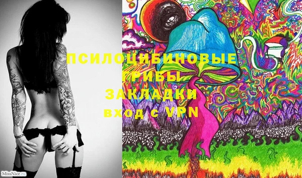 spice Новодвинск