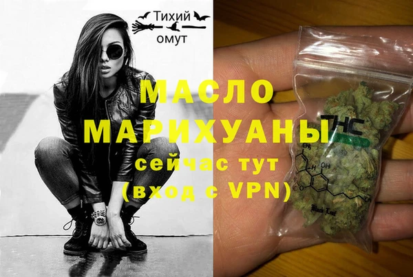 spice Новодвинск