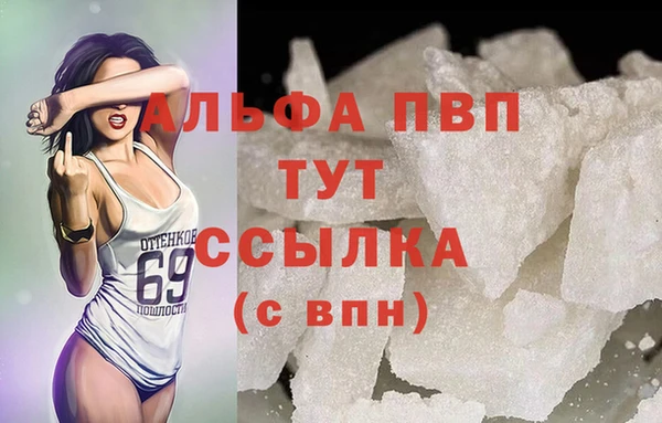 spice Новодвинск