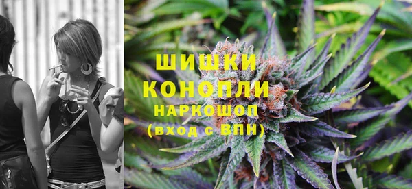 spice Новодвинск