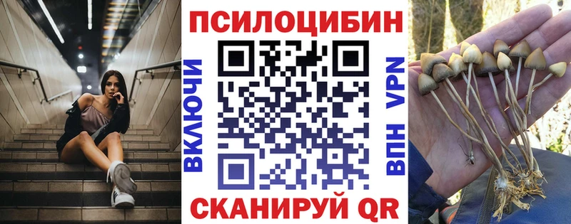 Псилоцибиновые грибы Psilocybe Ялта