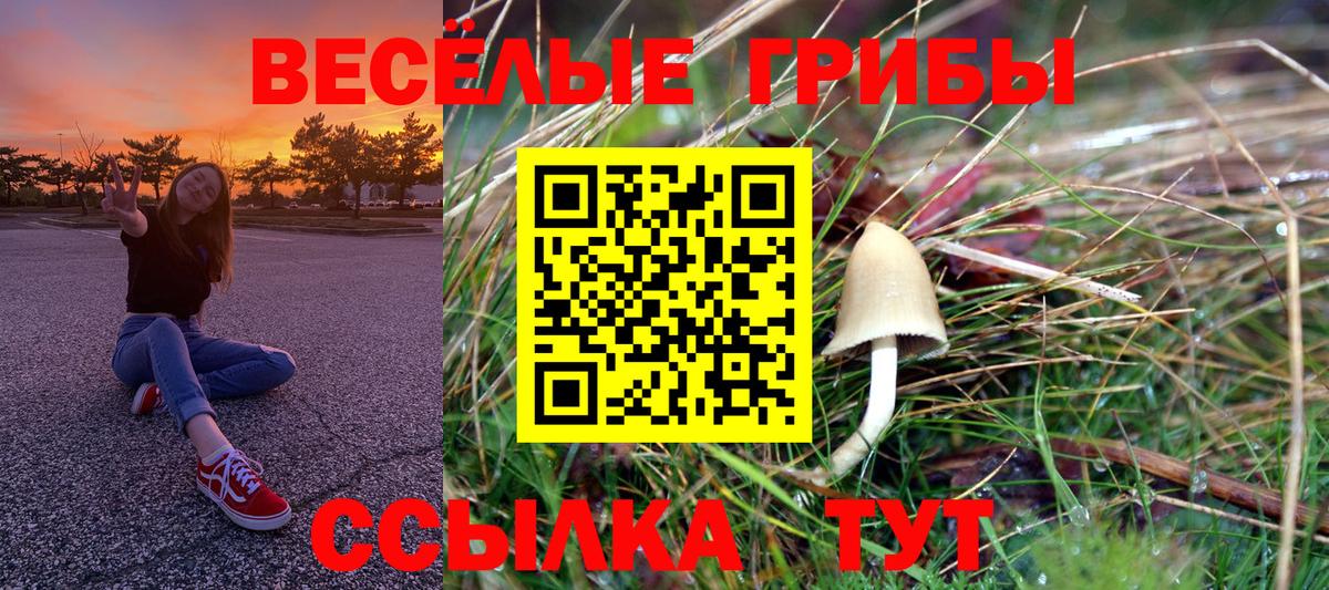 Псилоцибиновые грибы мицелий Ялта