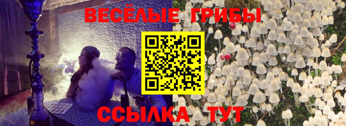 Галлюциногенные грибы Magic Shrooms  Вход с VPN  купить закладку  Ялта 